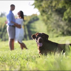 Meet your Posher, Shelby